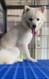 WhatsApp Image 2025 09 15 At 10.34.33 PM 2 187x300