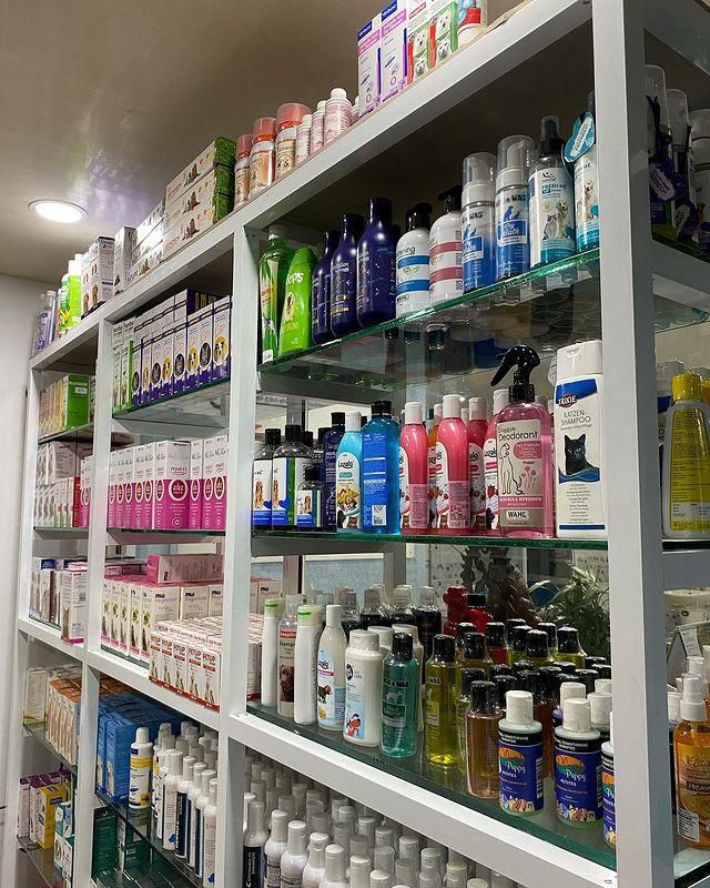 whatsapp image 2025 12 17 at 1.16.22 pm