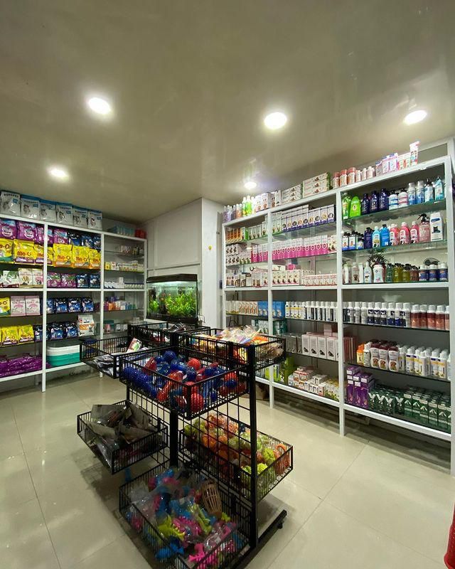 whatsapp image 2025 12 17 at 1.16.23 pm