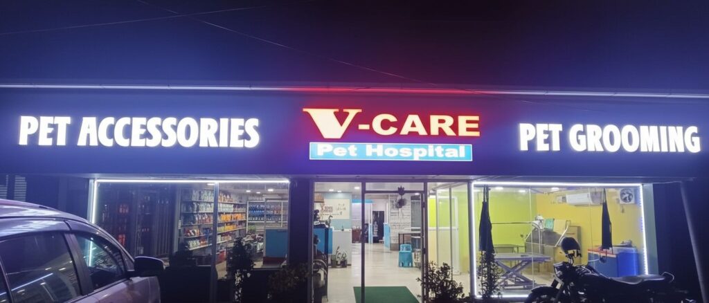 whatsapp image 2025 12 17 at 1.16.52 pm